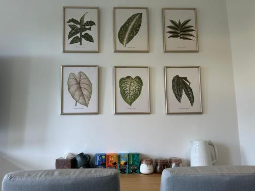 four framed prints of plants on a wall at Urban Escape Entire Apartment Near Uni and Hospital in Southampton
