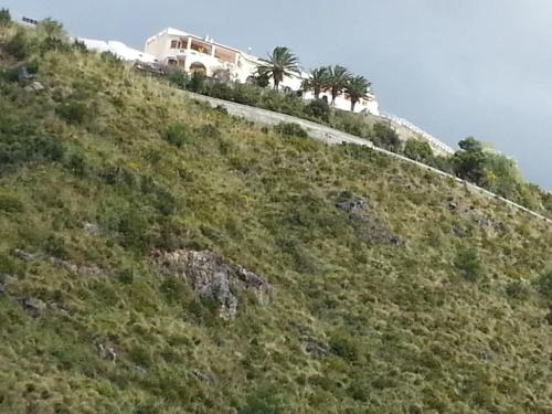 a house on the side of a hill with palm trees at Casa vista mare in San Nicola Arcella