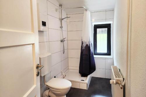 シュトルベルクにあるVoll-Ausgestattete Monteurunterkünfteのトイレとシャワー付きの白いバスルーム