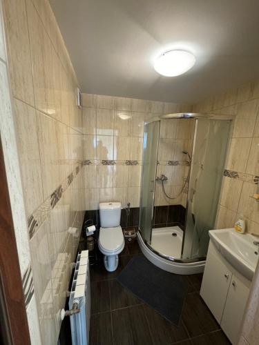 uma casa de banho com um chuveiro, um WC e um lavatório. em Górski Przystanek em Mizerna