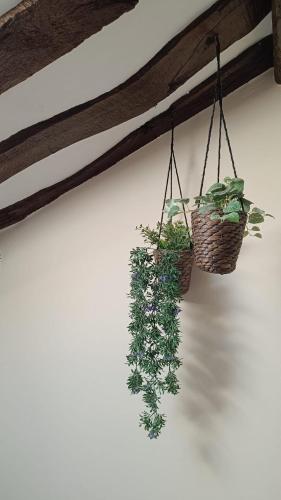 two plants in baskets hanging on a wall at Casa Rural Casa Selmo in Carreno