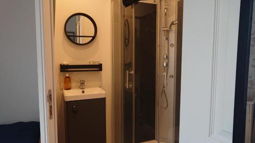 uma casa de banho com um chuveiro, um lavatório e um espelho. em Le Black Dog Pub em Saint-Aignan