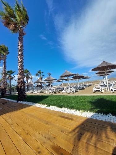 een strand met stoelen en parasols en een palmboom bij Velmar Hotel in Golem