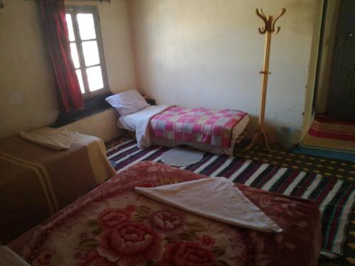 a room with two beds in a room with a window at Riad Bouchra in Tamtetoucht