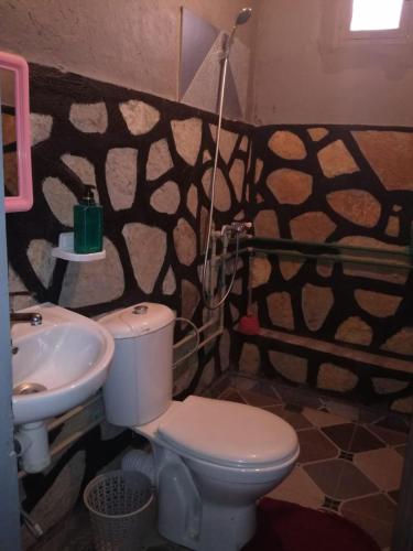 a bathroom with a toilet and a sink at Riad Bouchra in Tamtetoucht