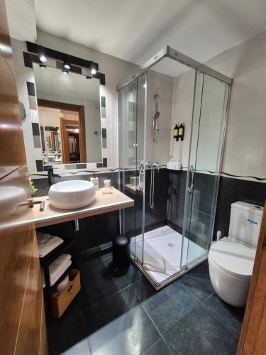 a bathroom with a shower and a sink and a toilet at Pension Joakina in San Sebastián