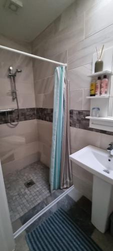 y baño con ducha y lavamanos. en Spacious Curragh 2-bed apartment with own entrance, en Brownstown Cross Roads