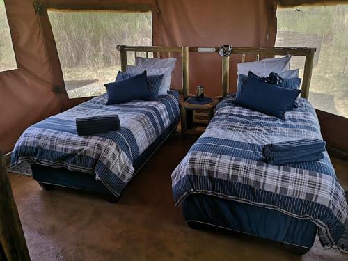 een slaapkamer met 2 bedden in een tent bij Luxury Tents Belabela Resort Warmbath in Bela-Bela