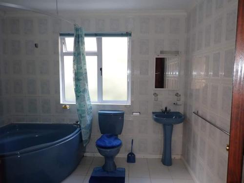 uma casa de banho com uma banheira azul, um WC e um lavatório. em Valley View em Jamestown