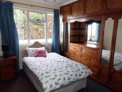 1 dormitorio con 1 cama y vestidor con espejo en Valley View en Jamestown