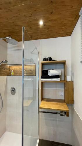 a bathroom with a shower and a glass shower stall at Traumplatz im Allgäu in Rettenberg