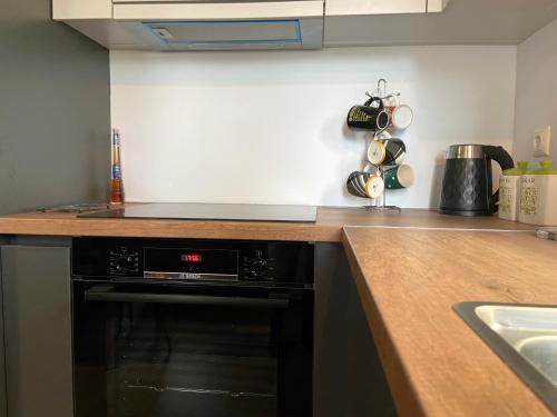 a kitchen with a counter top with a dishwasher at Ήφαιστος - Ifestos in Tríkala