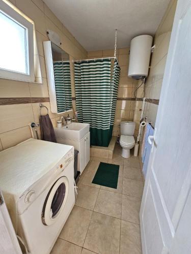 a small bathroom with a washing machine in it at Villa Lila in Dolno Dupeni