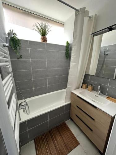 une salle de bain avec une baignoire, un lavabo et un miroir dans l'établissement Apt Albi 2 chambres climatisé plein centre et parking, à Albi