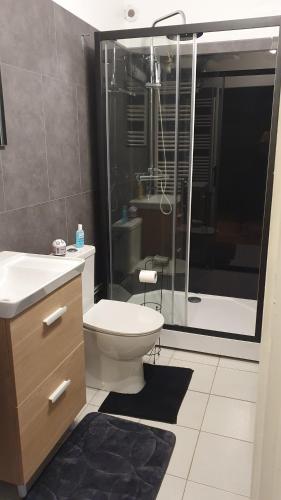 une salle de bain avec toilettes et douche en verre dans l'établissement STUDIO ENTRE MER et FORET, à Campagne-lès-Hesdin
