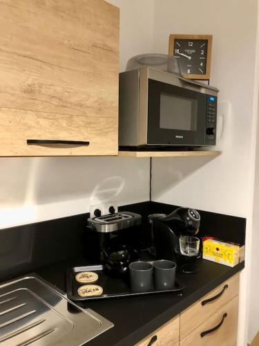 une cuisine avec un comptoir avec un micro-ondes dans l'établissement Studio Cosy, LYON, avec garage privé, à Lyon