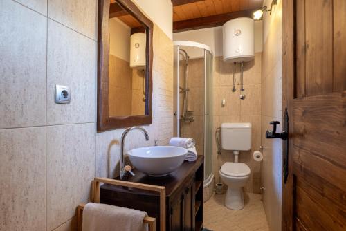 une salle de bain avec un lavabo et des toilettes dans l'établissement Stone villa Tea with pool, à Posedarje
