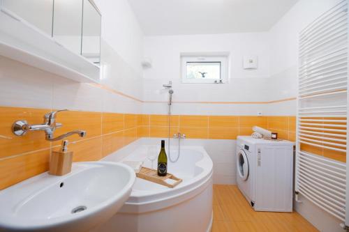 y baño con lavabo y lavadora. en Apartmán Vlčovice, en Kopřivnice