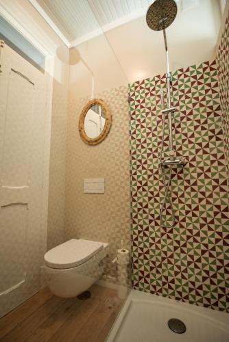 a bathroom with a toilet and a shower at Quinta da Eira Velha in Aldeia do Mato