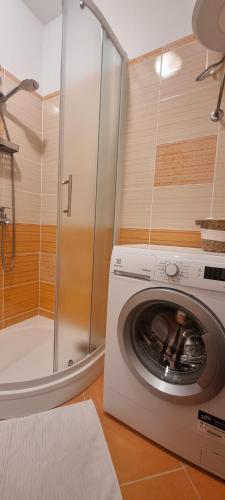 uma máquina de lavar roupa na casa de banho com um chuveiro em Apartment Rajci em Cres