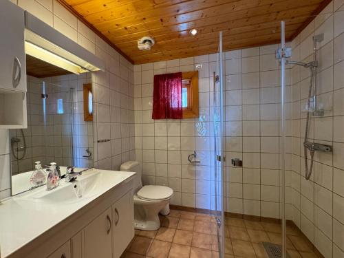 a bathroom with a shower and a sink and a toilet at Tyinkrysset panorama in Tyinkrysset