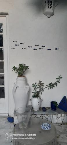 deux plantes en pot assises sur une table dans une pièce dans l'établissement Maison et terrasse dans le jardin du Château de Gaillard, à Marseille