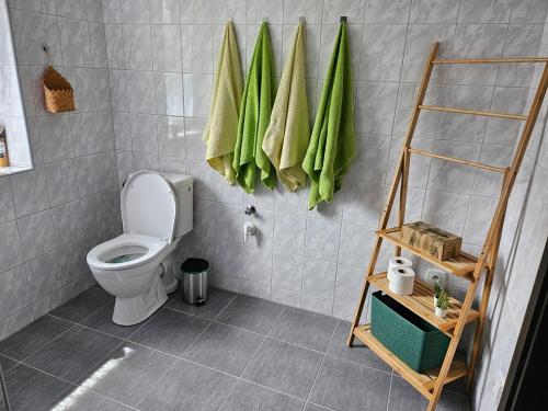 uma casa de banho com WC e toalhas na parede em Pohodička pod Verpánem em Batňovice