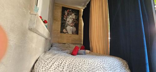 um quarto com uma cama branca e almofadas vermelhas em Apartman Marijana em Novi Sad