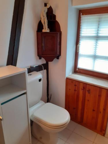 a bathroom with a white toilet and a window at Bad Wimpfen Altstadt - ruhige, private Unterkunft in Bad Wimpfen
