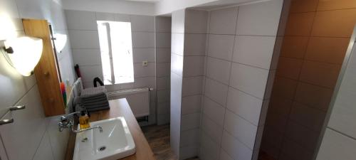 茲諾伊莫的住宿－Vinařské apartmány，一间带水槽和淋浴的浴室