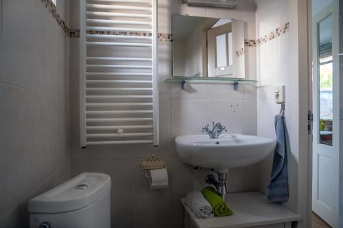 a bathroom with a sink and a toilet and a mirror at Het Zomerhuis in Egmond-Binnen