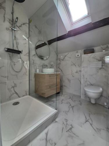 une salle de bain avec une douche, des toilettes et un lavabo dans l'établissement Le Saint-Aubin, à Angers