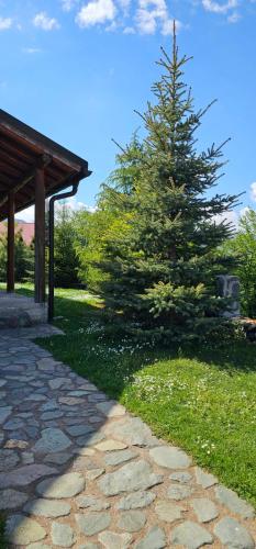 a christmas tree in the grass next to a pathway at Apartments Greenstone in Kolašin