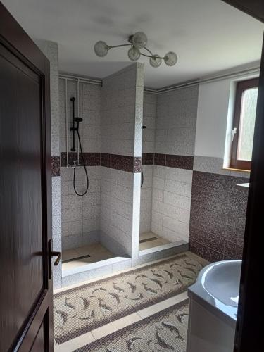 a bathroom with a shower and a toilet and a sink at Csencsó Vendégház in Ciumani