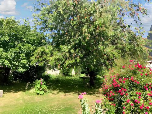 un gran árbol con flores rosas en un jardín en Maison de 2 chambres avec jardin clos a Montlognon, 