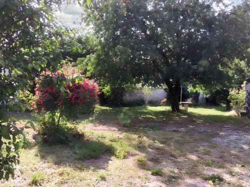 a garden with a tree and flowers in a yard at Maison de 2 chambres avec jardin clos a Montlognon 