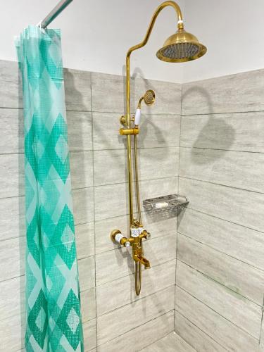 una ducha con cabezal de ducha dorado y cortina de ducha en Niagara Falls Bahawalpur en Bahawalpur
