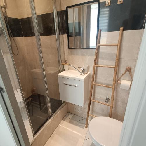 une salle de bain avec douche et toilettes et une échelle dans l'établissement Cocooning Atmosphère old Nice, à Nice