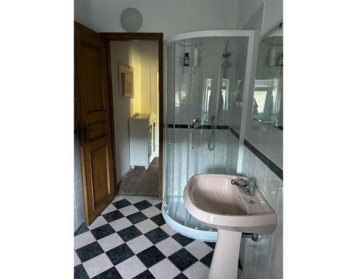 La salle de bains est pourvue d'un lavabo et d'une douche. dans l'établissement La Casa Del Tiglio, à Borgo San Lorenzo