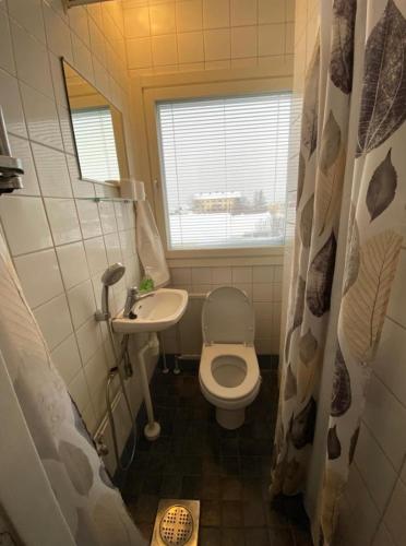 Baño pequeño con aseo y lavamanos en Mini-Studio in Center, en Vaasa