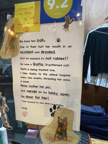 un panneau dans une fenêtre de magasin avec un chat sur une guitare dans l'établissement Doobaki Hostel, à Gyeongju