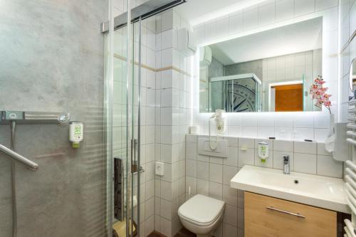 a bathroom with a shower and a toilet and a sink at Hotel & Restaurant Hanse Kogge in Ostseebad Koserow
