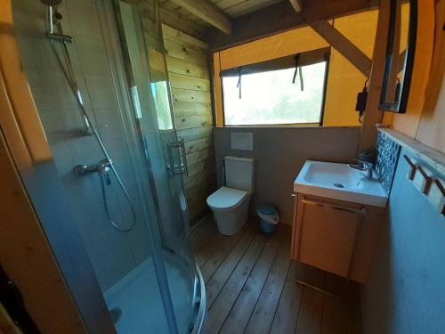 La salle de bains est pourvue d'une douche, de toilettes et d'un lavabo. dans l'établissement Lodge La Vie Joyeuse, 