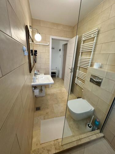 a bathroom with a toilet and a sink at AMADEUS IASI in Iaşi