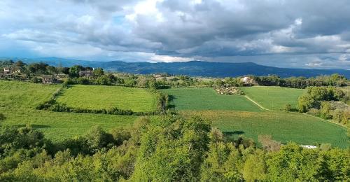 an aerial view of a field with trees and mountains at Casa Vacanze Emmanuele in Porano