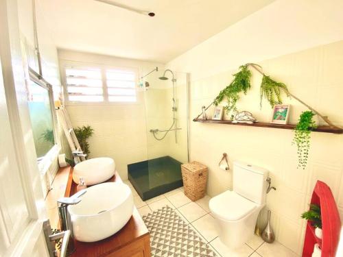 a bathroom with a white toilet and a sink at Logement Le Pélican Sous le Vent in Sainte-Rose