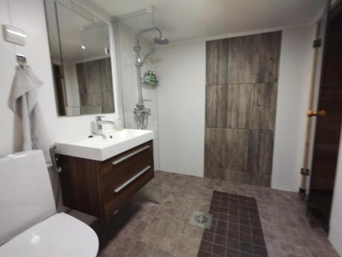 een badkamer met een wastafel, een toilet en een douche bij Saunallinen huone omakotitalossa - old wood house - in Turku