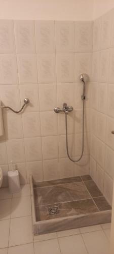 a shower with a hose in a bathroom at Ancient Thera Apartments in Kamari