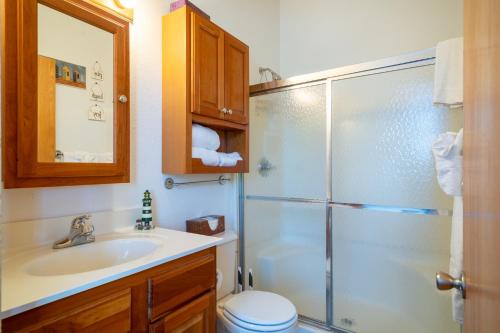 ein Bad mit einer Dusche, einem Waschbecken und einem WC in der Unterkunft Colonial 1 - studio apartment overlooking the Black River in South Haven