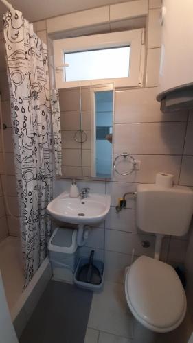 uma casa de banho com um lavatório, um WC e um espelho. em Apartment HORVAT 2 em Vir